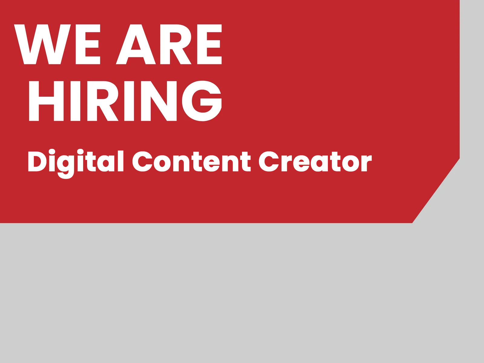 Digital Content Creator